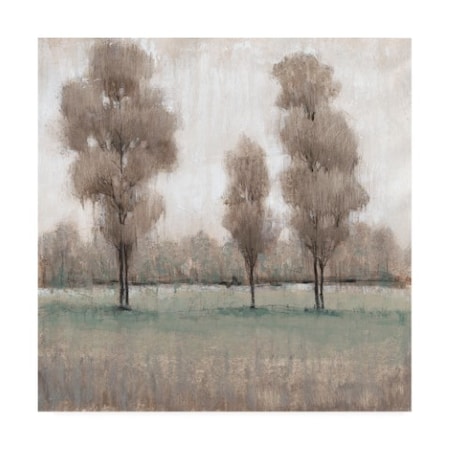 Tim Otoole 'Shimmering Trees I' Canvas Art,24x24